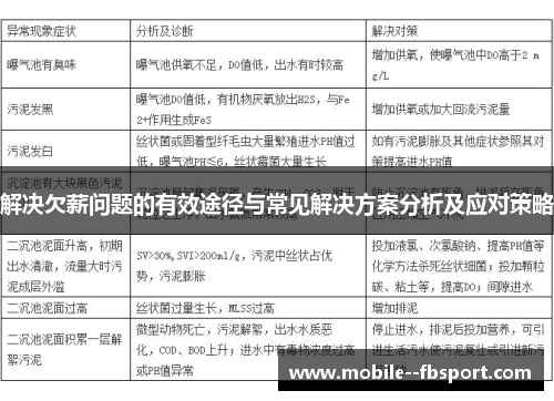 解决欠薪问题的有效途径与常见解决方案分析及应对策略 解决欠薪问题的有效途径与常见解决方案分析及应对策略
